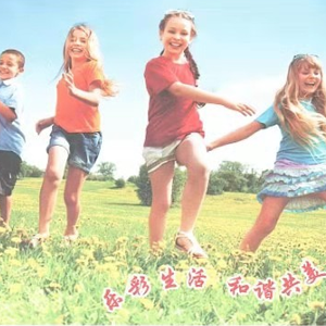 荷兰网和电焊网的区别 